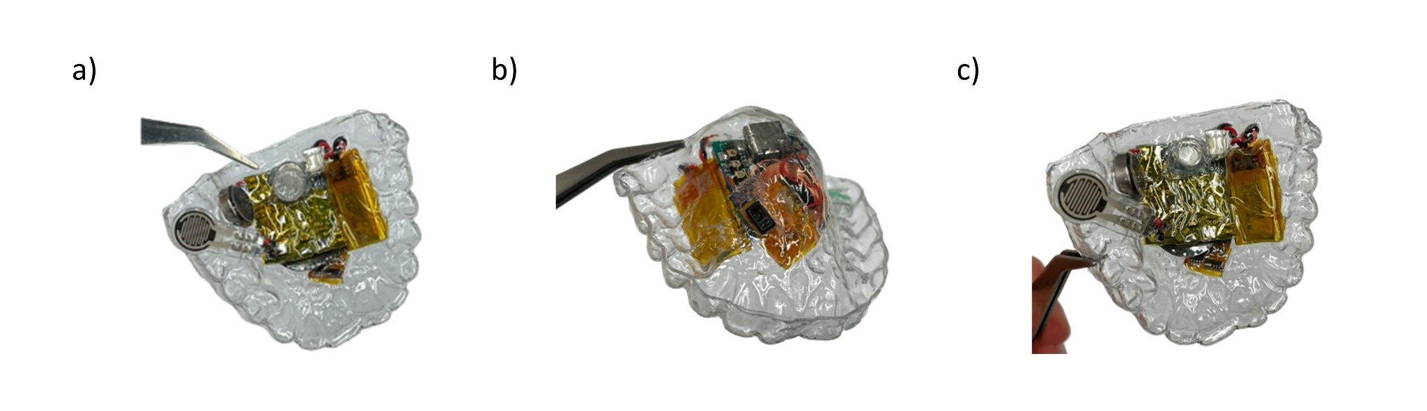 Intra-oral respirometer during experimental handling